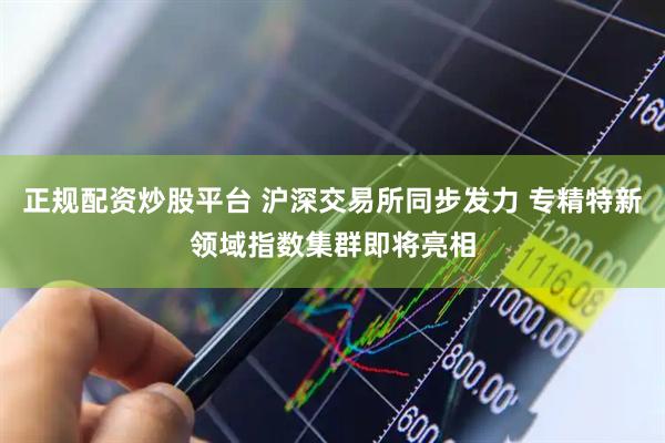 正规配资炒股平台 沪深交易所同步发力 专精特新领域指数集群即将亮相